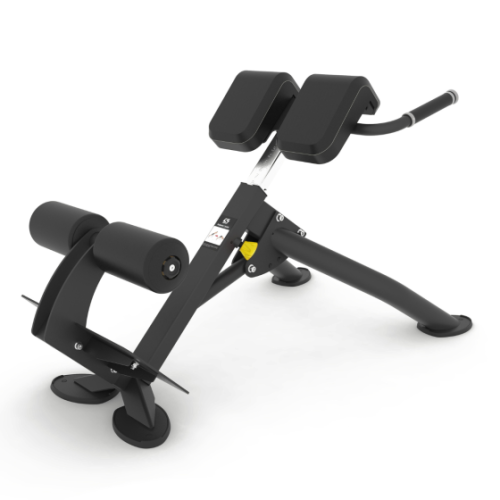 Spirit CSF-BEXT Back Extension