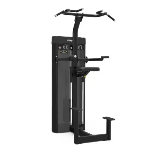 Spirit CSD-PUDA Dual Pull Up/Dip Assist